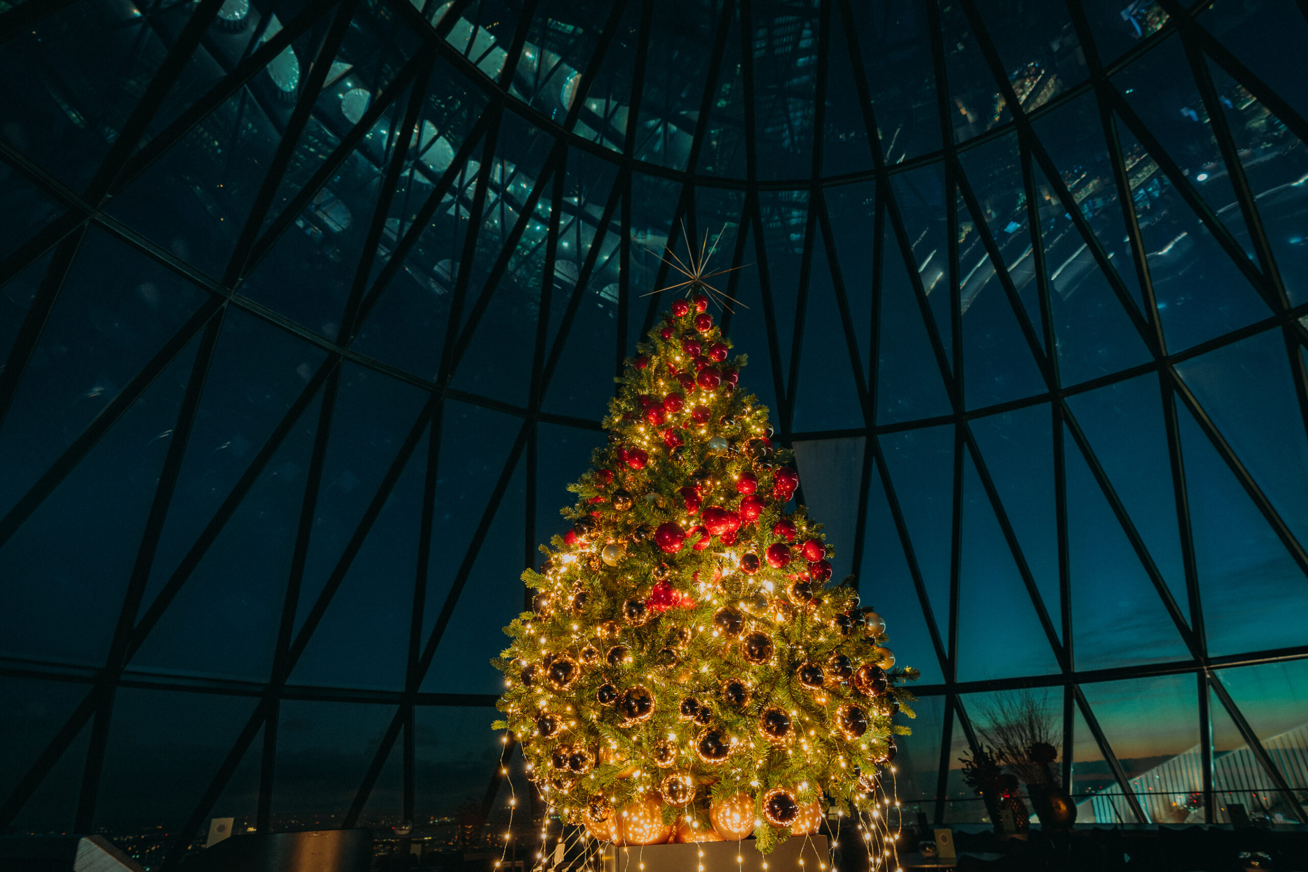 Christmas Parties - Searcys at the Gherkin